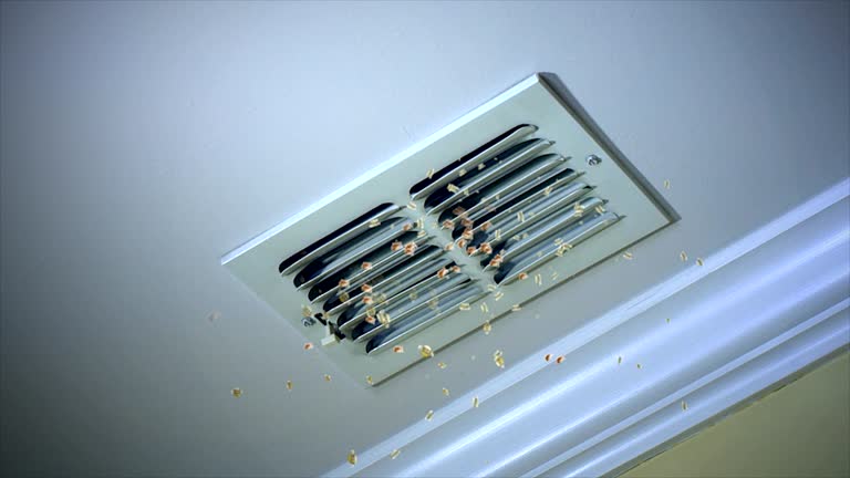 Best Dryer Vent Cleaning Services  in Saw Creek, PA